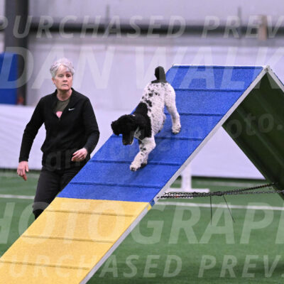 Jessie-Alison-DeBroux-22960
