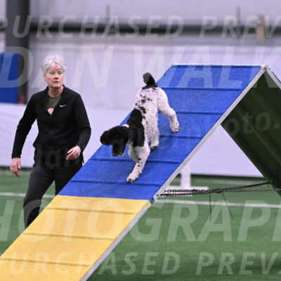 Jessie-Alison-DeBroux-22961