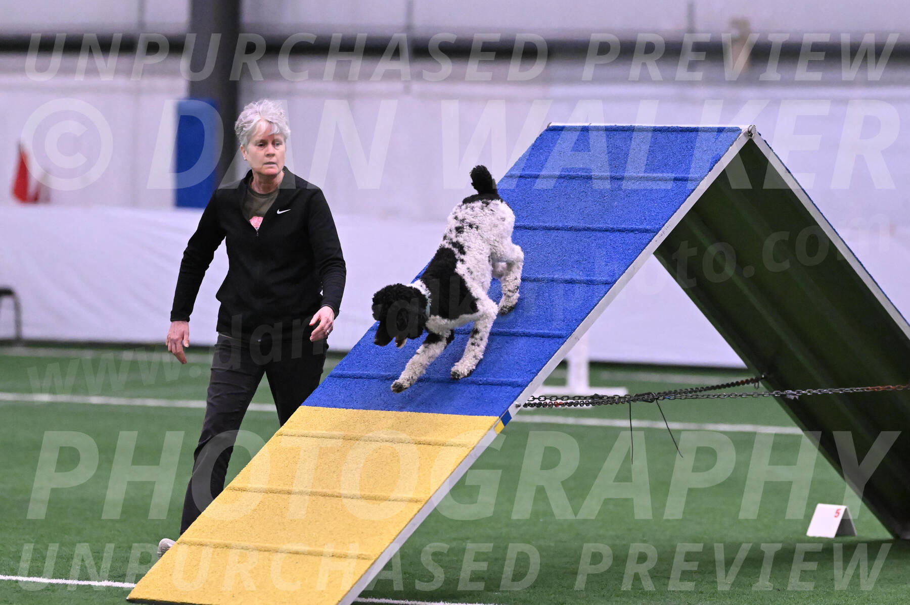 Jessie-Alison-DeBroux-22962
