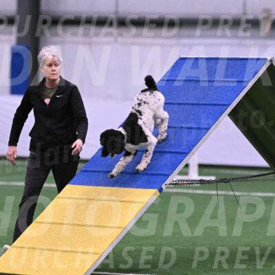 Jessie-Alison-DeBroux-22962