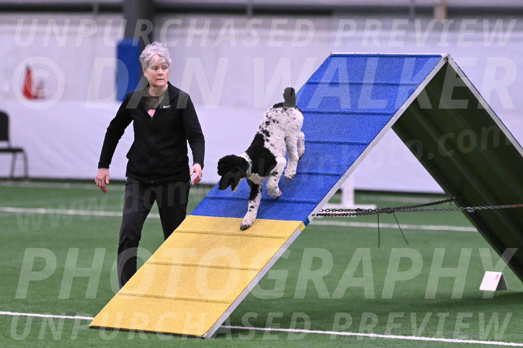 Jessie-Alison-DeBroux-22963