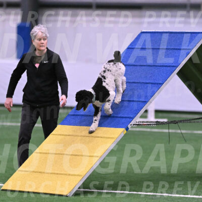 Jessie-Alison-DeBroux-22963