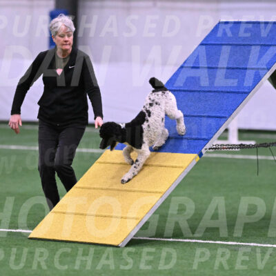 Jessie-Alison-DeBroux-22964