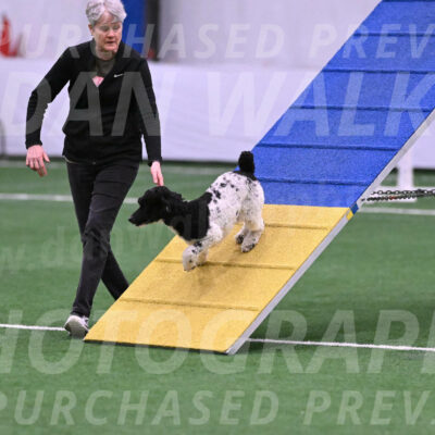 Jessie-Alison-DeBroux-22966
