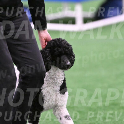 Jessie-Alison-DeBroux-22985