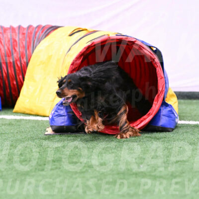 Journey-Candie-Gelis-01180