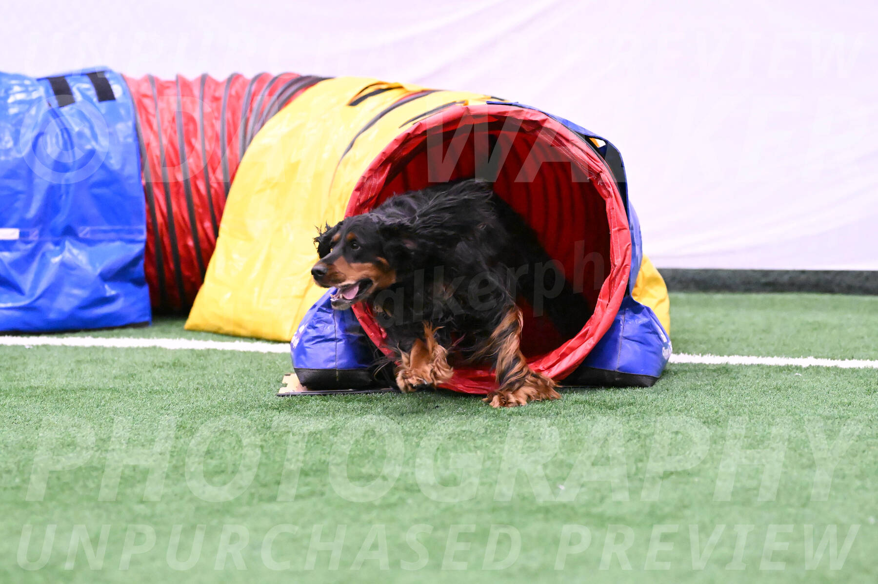 Journey-Candie-Gelis-01180