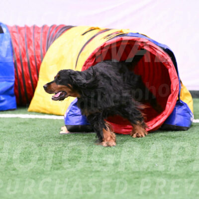 Journey-Candie-Gelis-01181