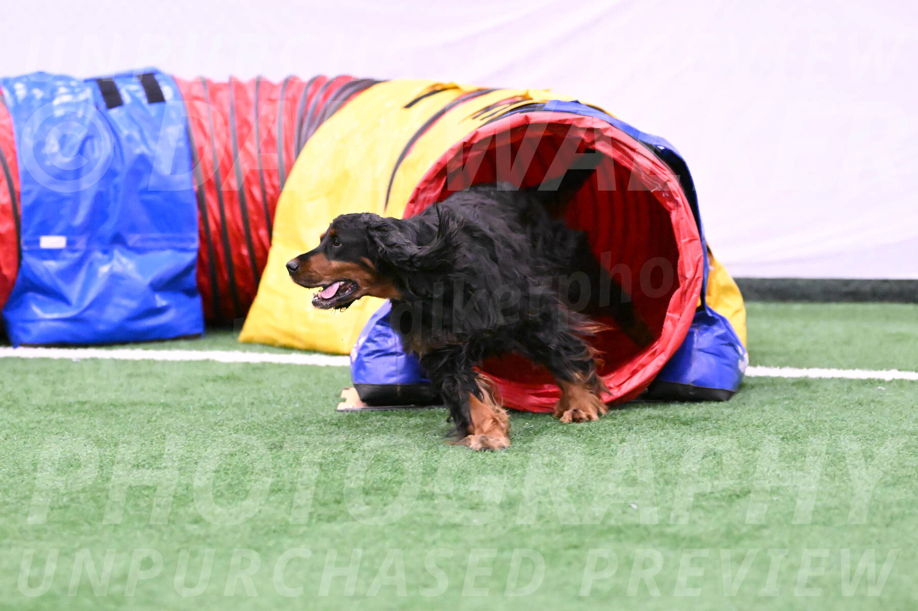 Journey-Candie-Gelis-01181