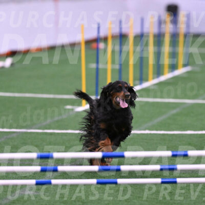 Journey-Candie-Gelis-01207