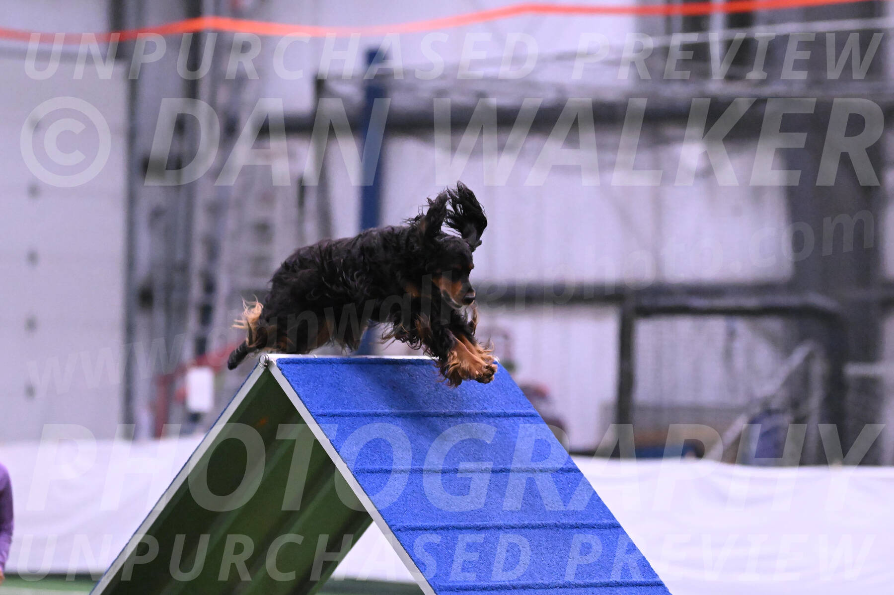 Journey-Candie-Gelis-01219