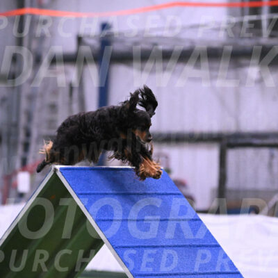 Journey-Candie-Gelis-01219