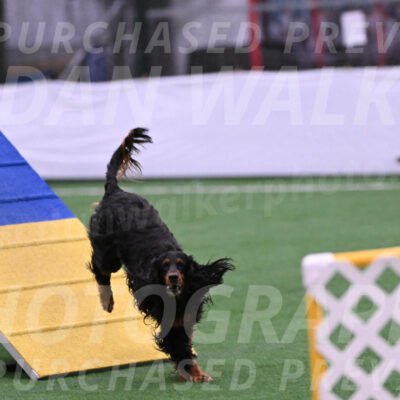 Journey-Candie-Gelis-01224