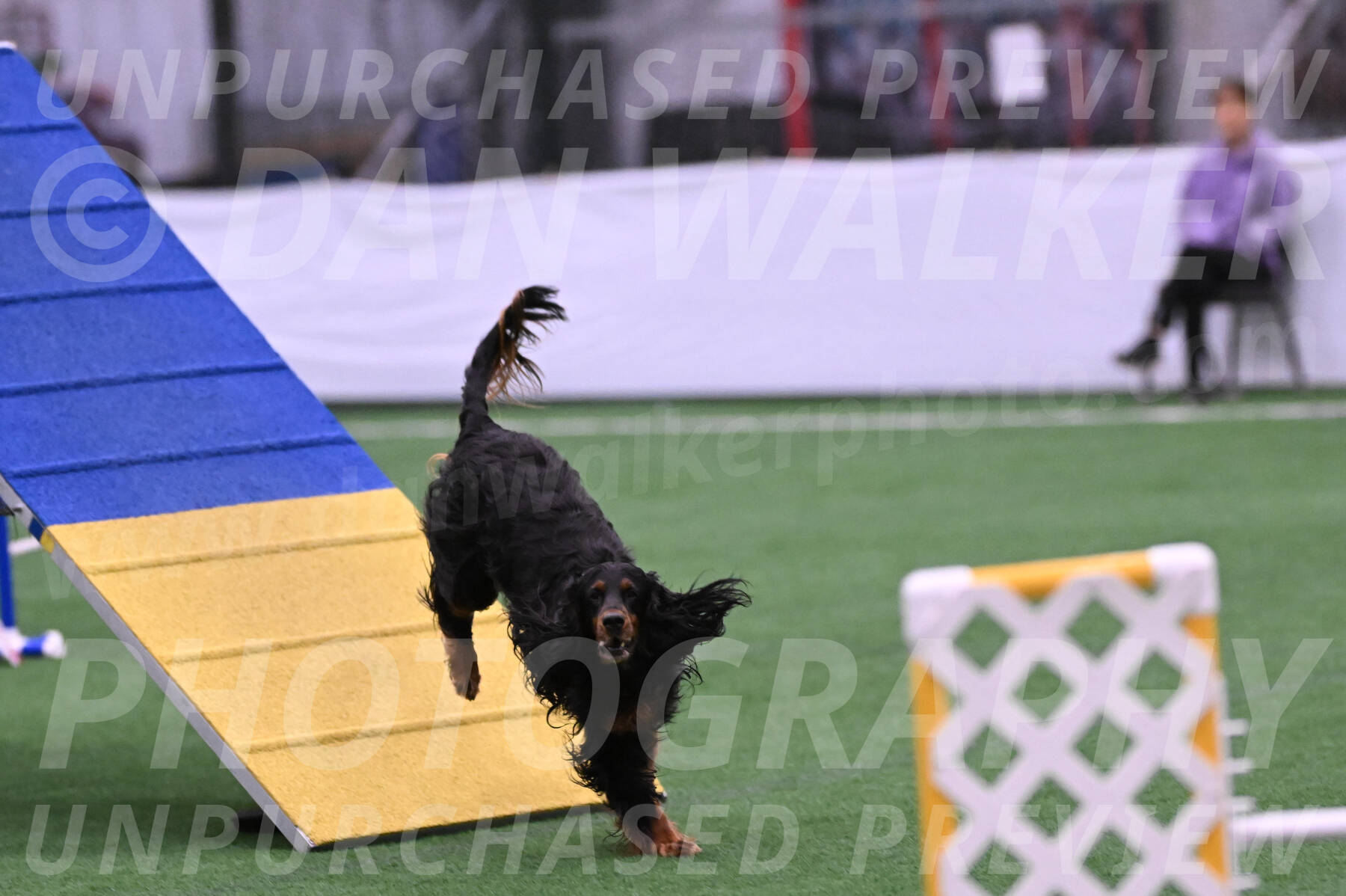 Journey-Candie-Gelis-01224