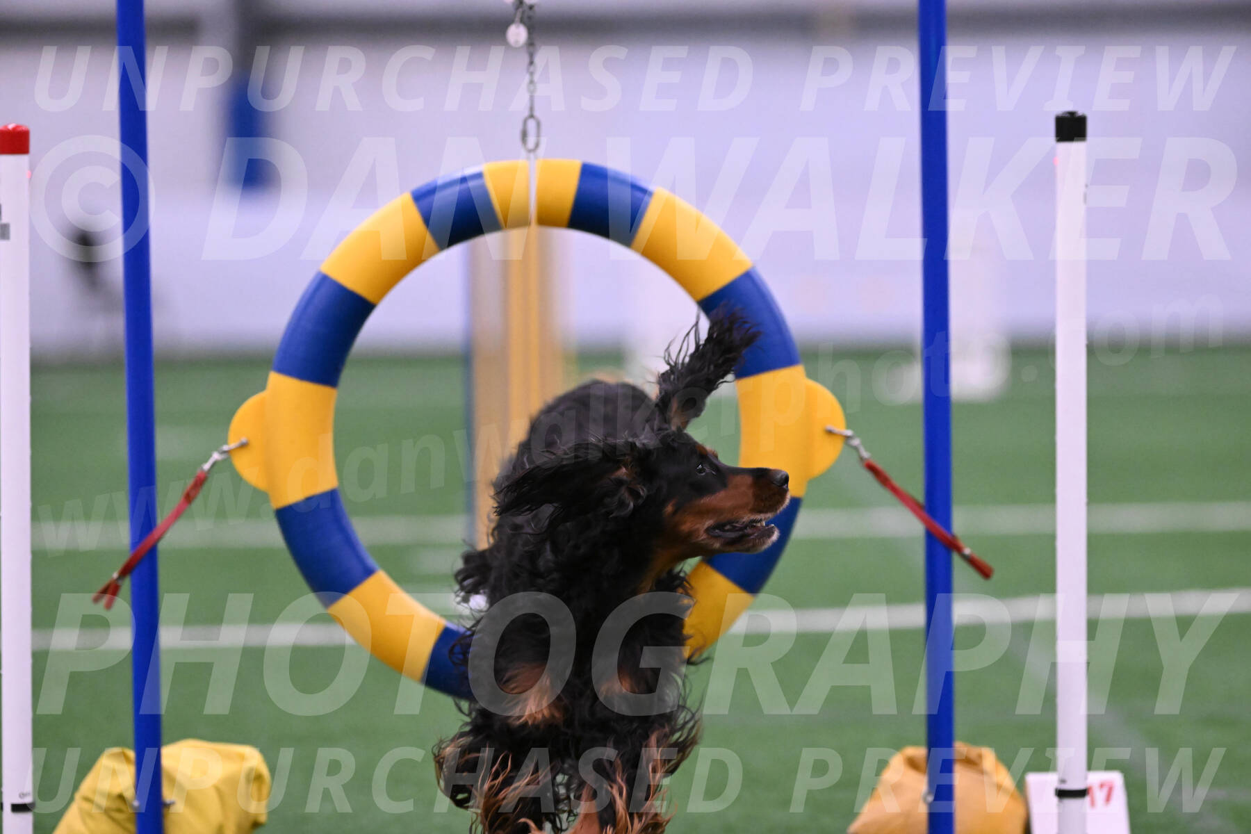 Journey-Candie-Gelis-01267