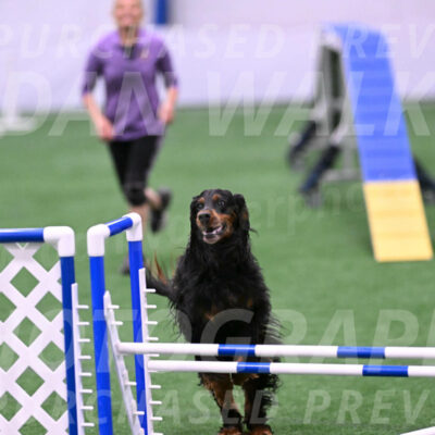 Journey-Candie-Gelis-01279