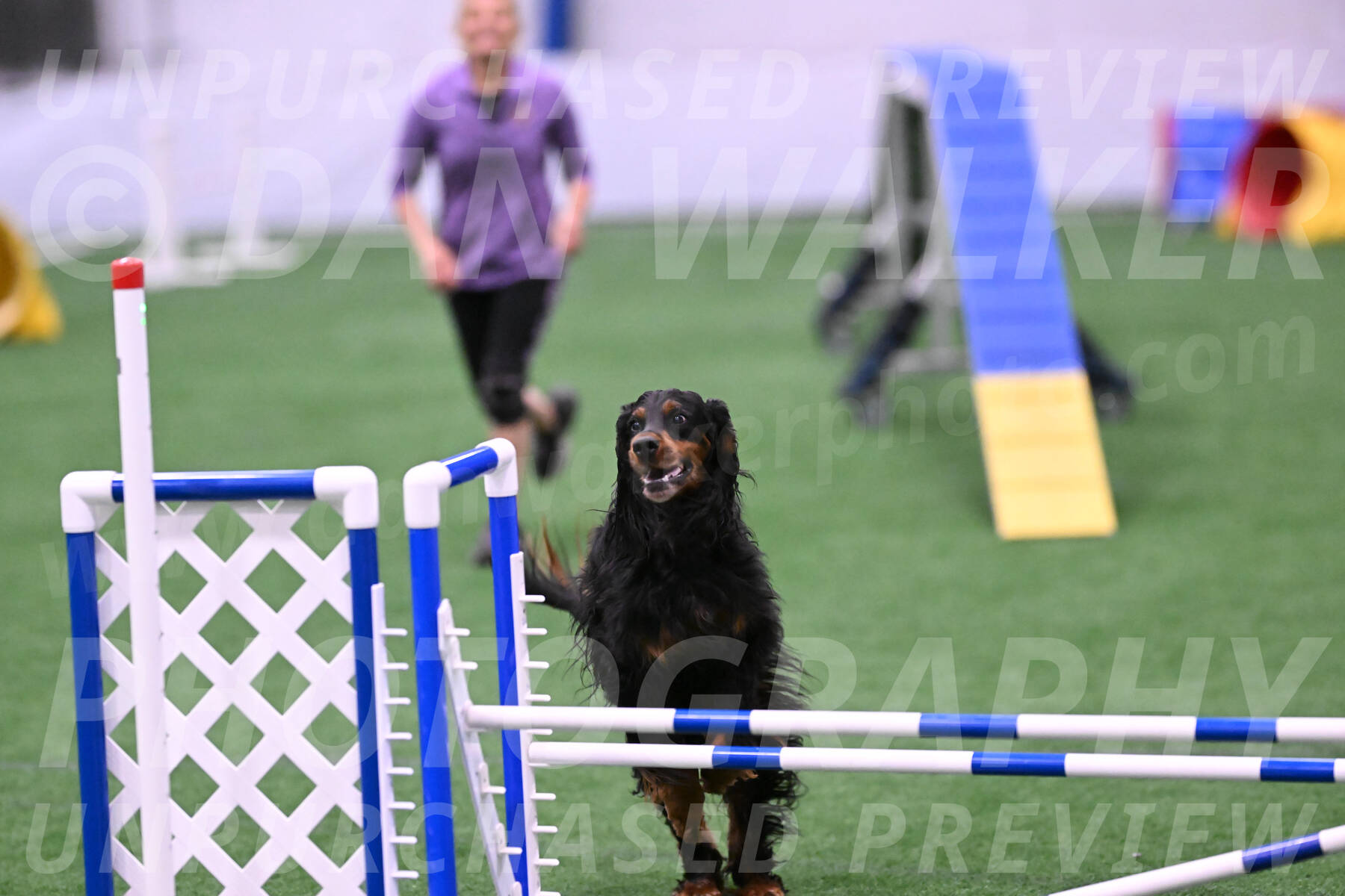 Journey-Candie-Gelis-01279