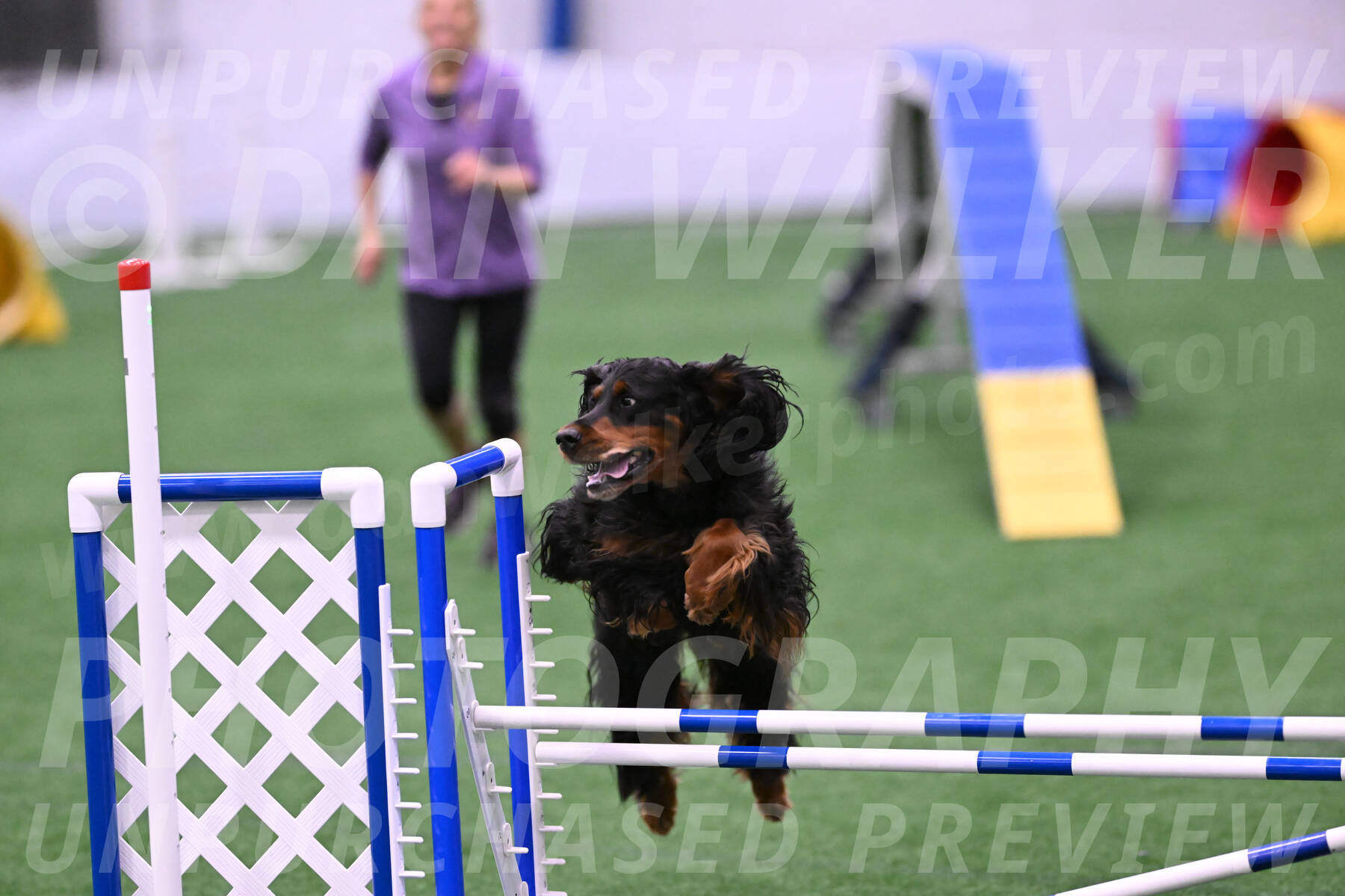 Journey-Candie-Gelis-01281