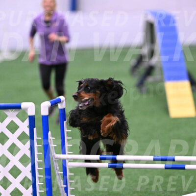 Journey-Candie-Gelis-01281