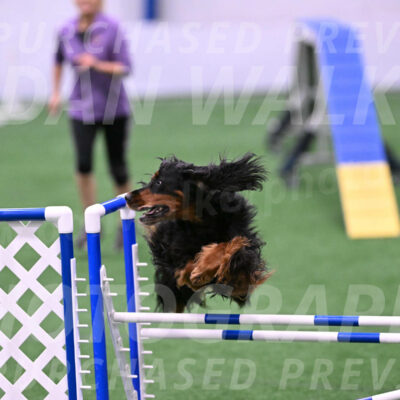 Journey-Candie-Gelis-01282