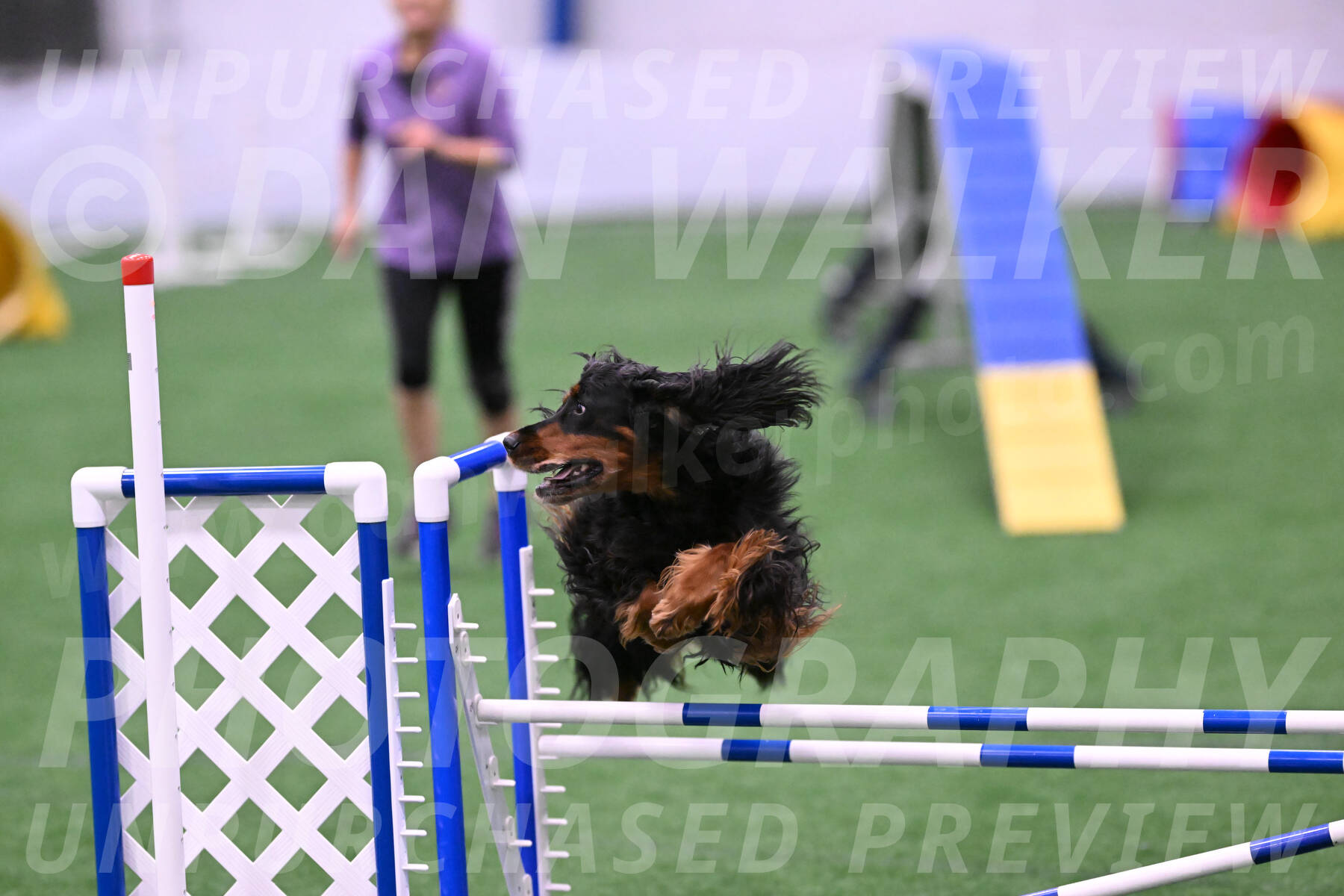 Journey-Candie-Gelis-01282
