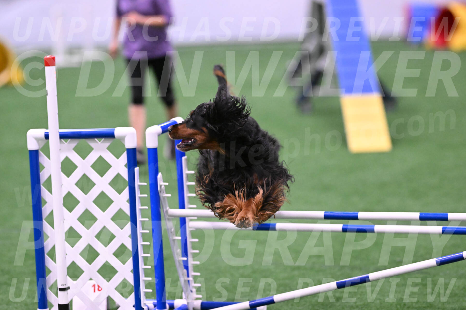 Journey-Candie-Gelis-01283