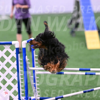 Journey-Candie-Gelis-01283