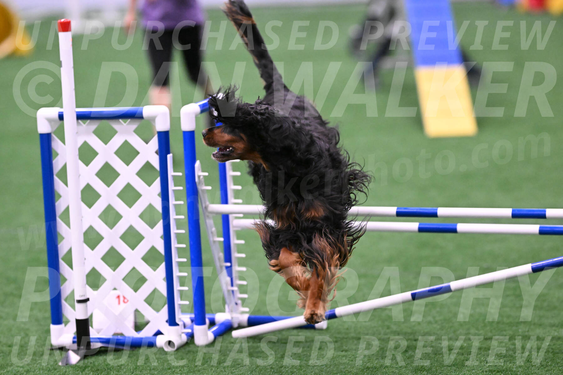 Journey-Candie-Gelis-01284