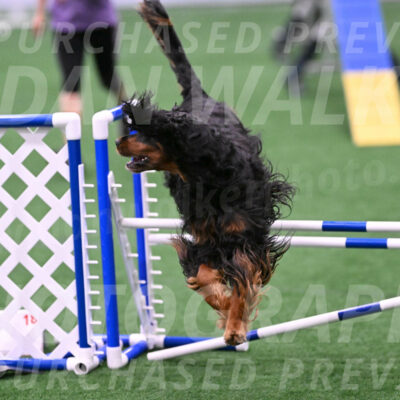 Journey-Candie-Gelis-01284