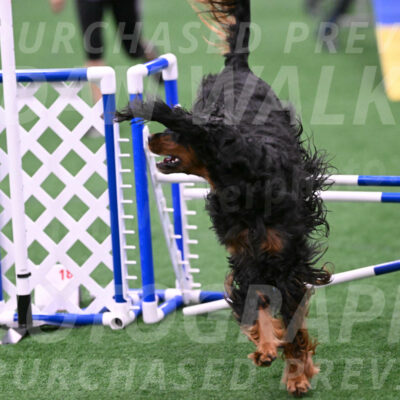 Journey-Candie-Gelis-01285
