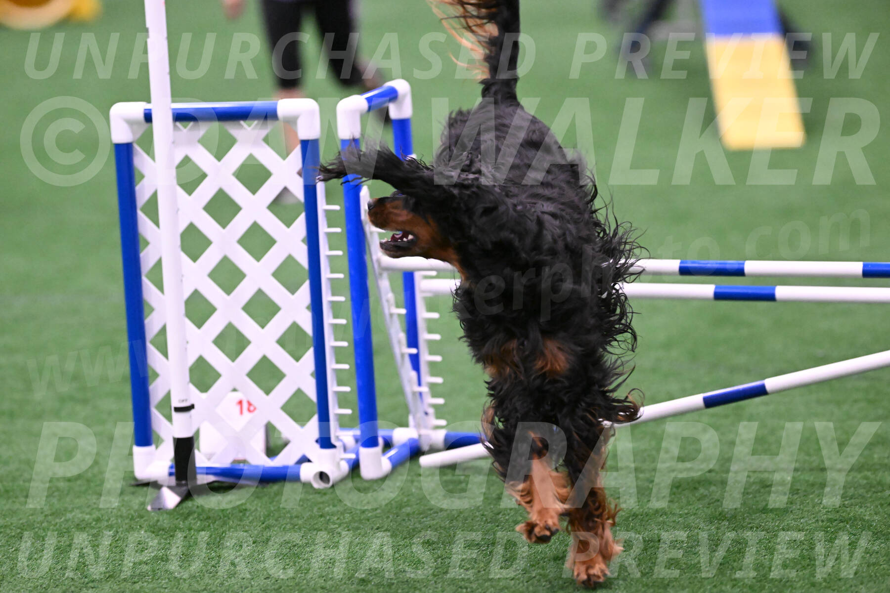 Journey-Candie-Gelis-01285