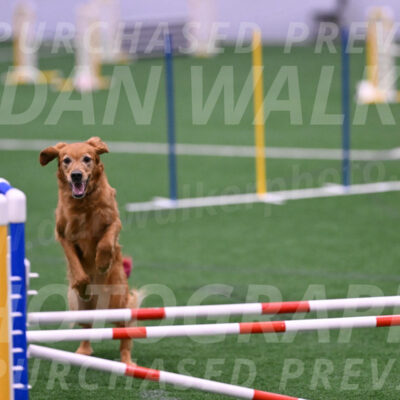 KATARA-Cynthia-Zeisler-09859