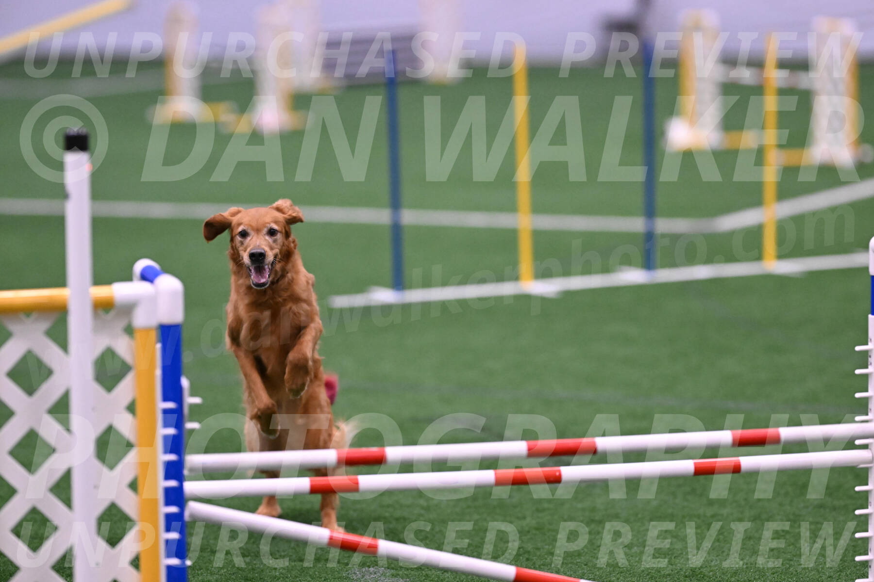 KATARA-Cynthia-Zeisler-09859