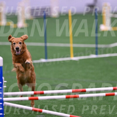 KATARA-Cynthia-Zeisler-09860
