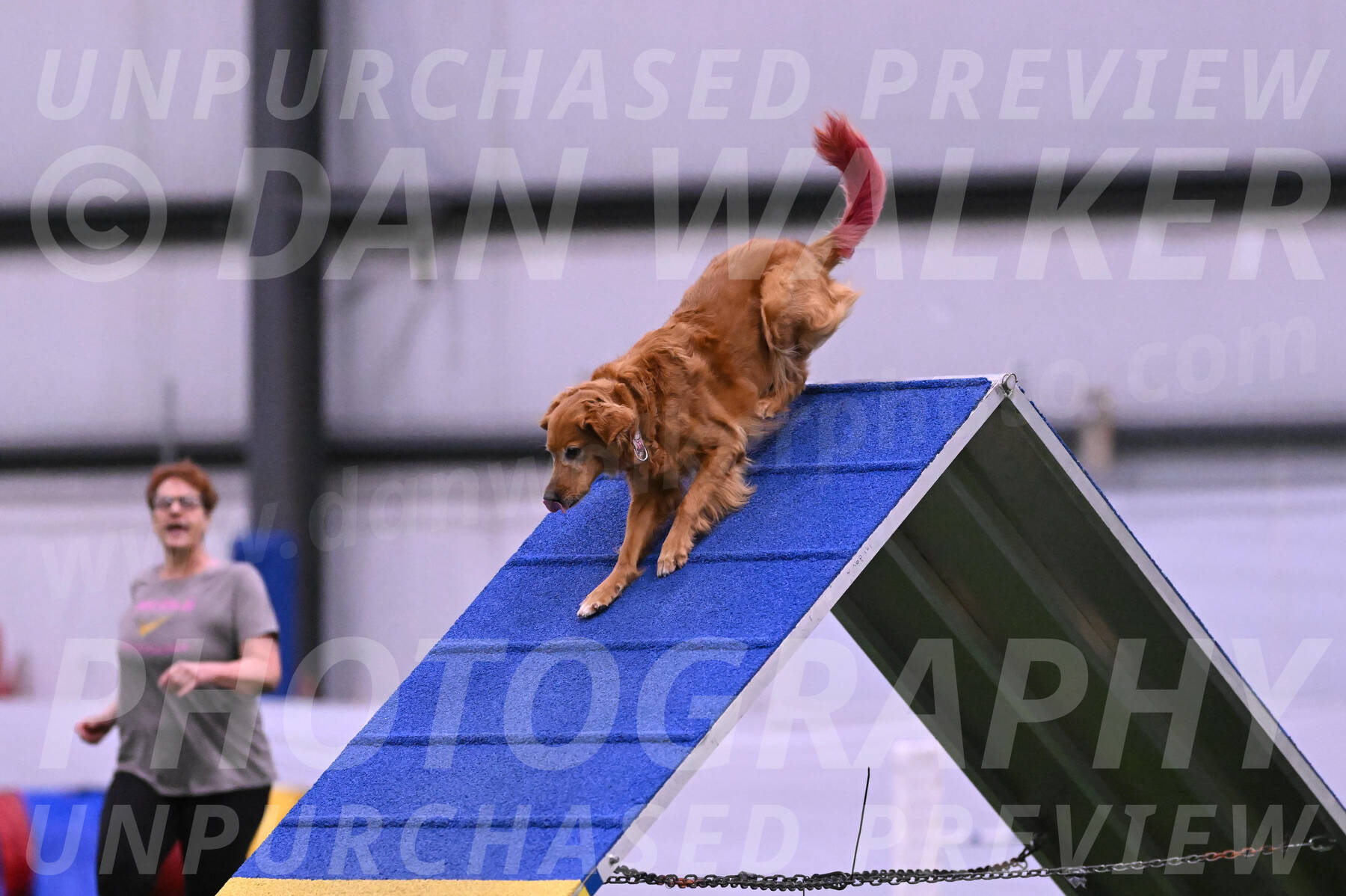 KATARA-Cynthia-Zeisler-09876