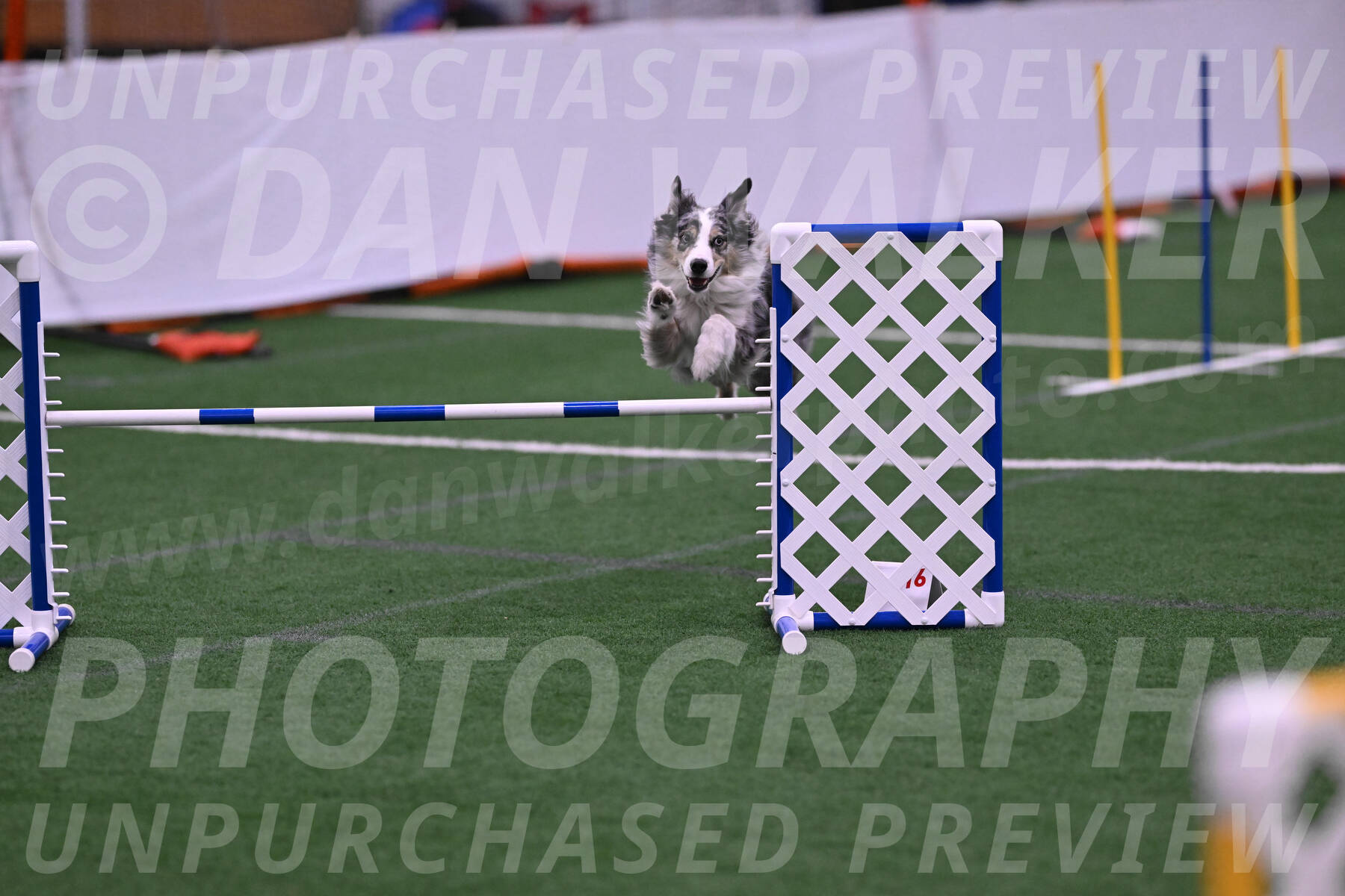 Kaiden-Christine-Armbrust-10347