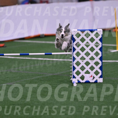 Kaiden-Christine-Armbrust-10347