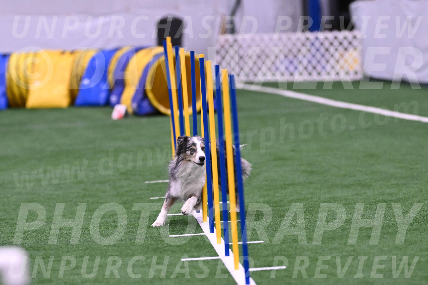 Kaiden-Christine-Armbrust-10491