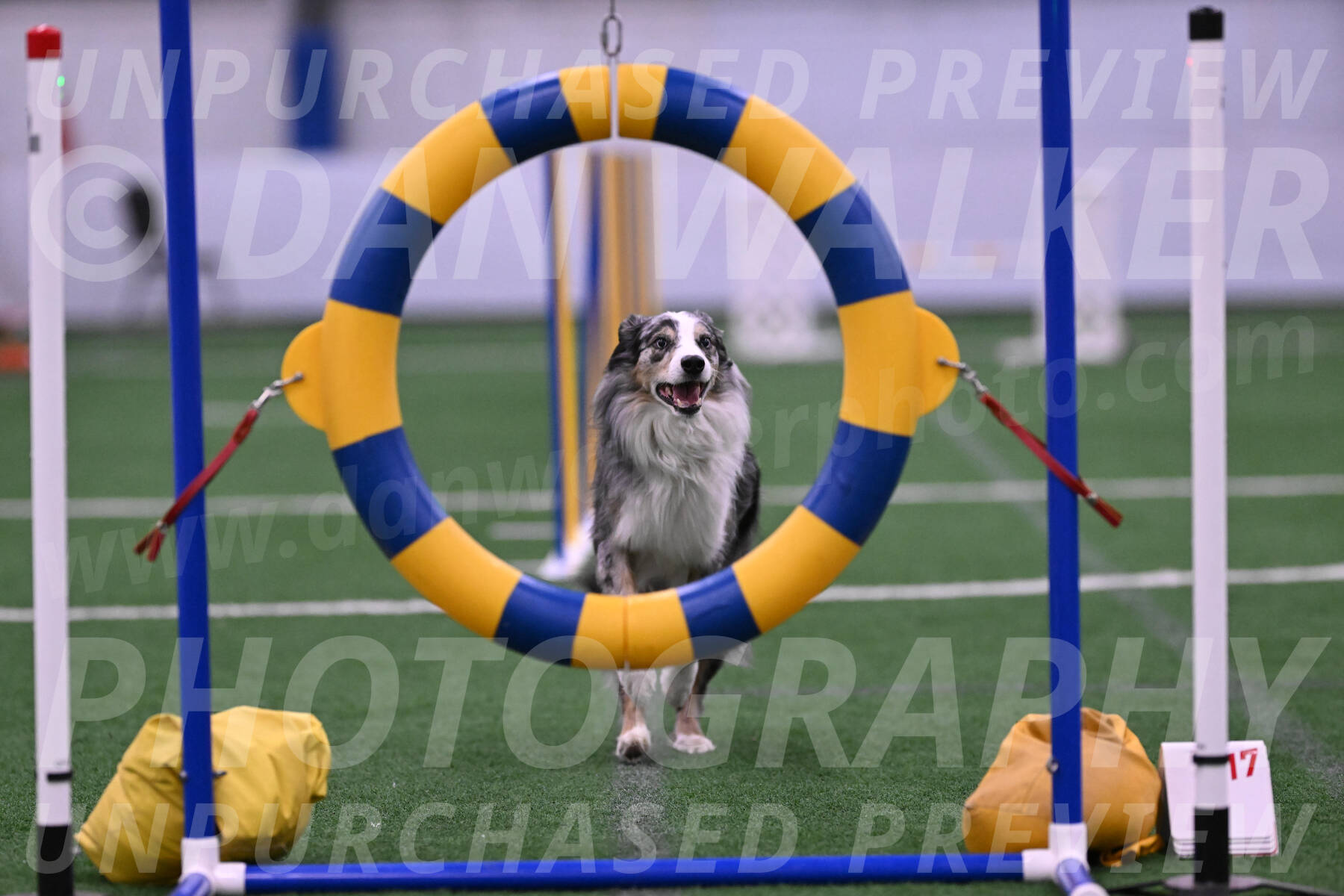 Kaiden-Christine-Armbrust-10555