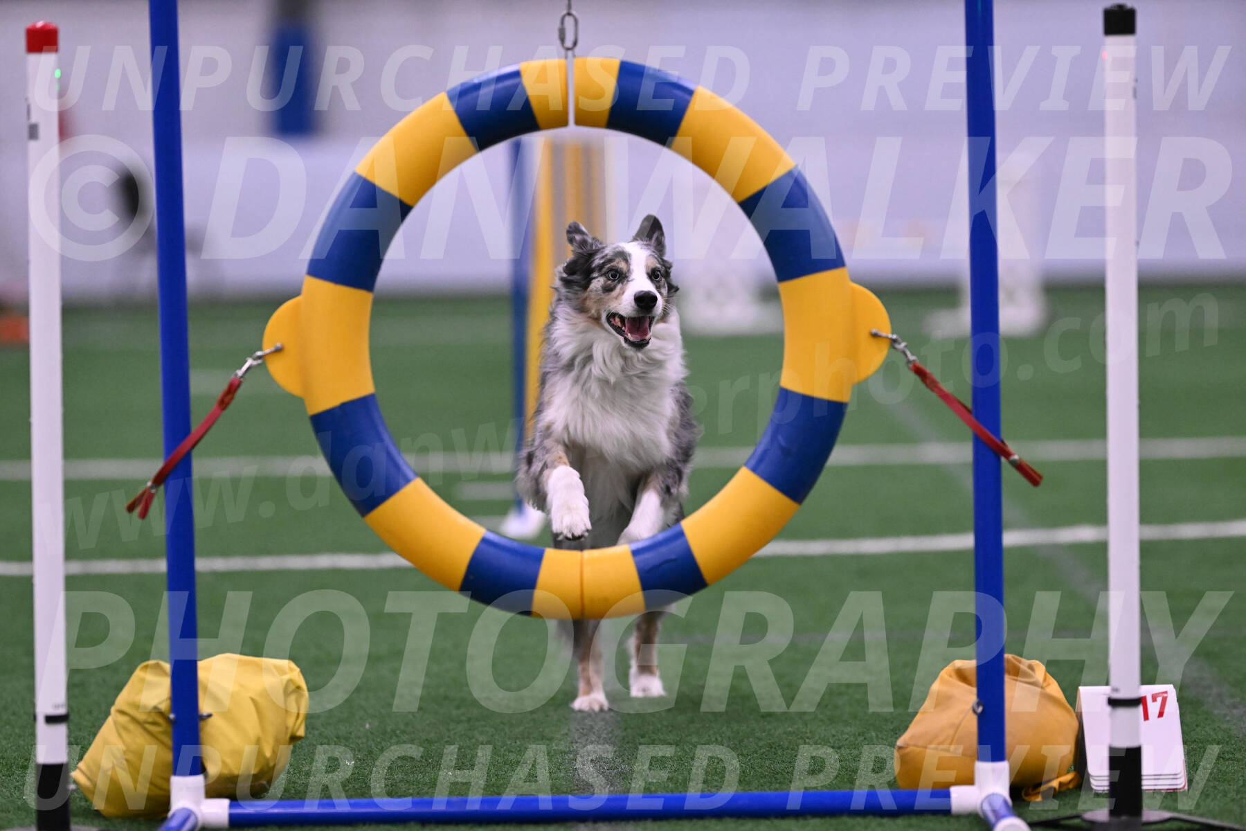 Kaiden-Christine-Armbrust-10556