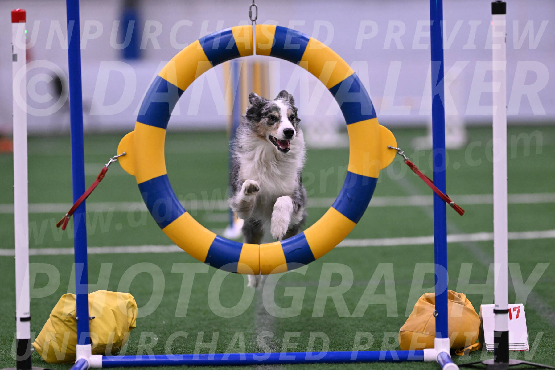 Kaiden-Christine-Armbrust-10557