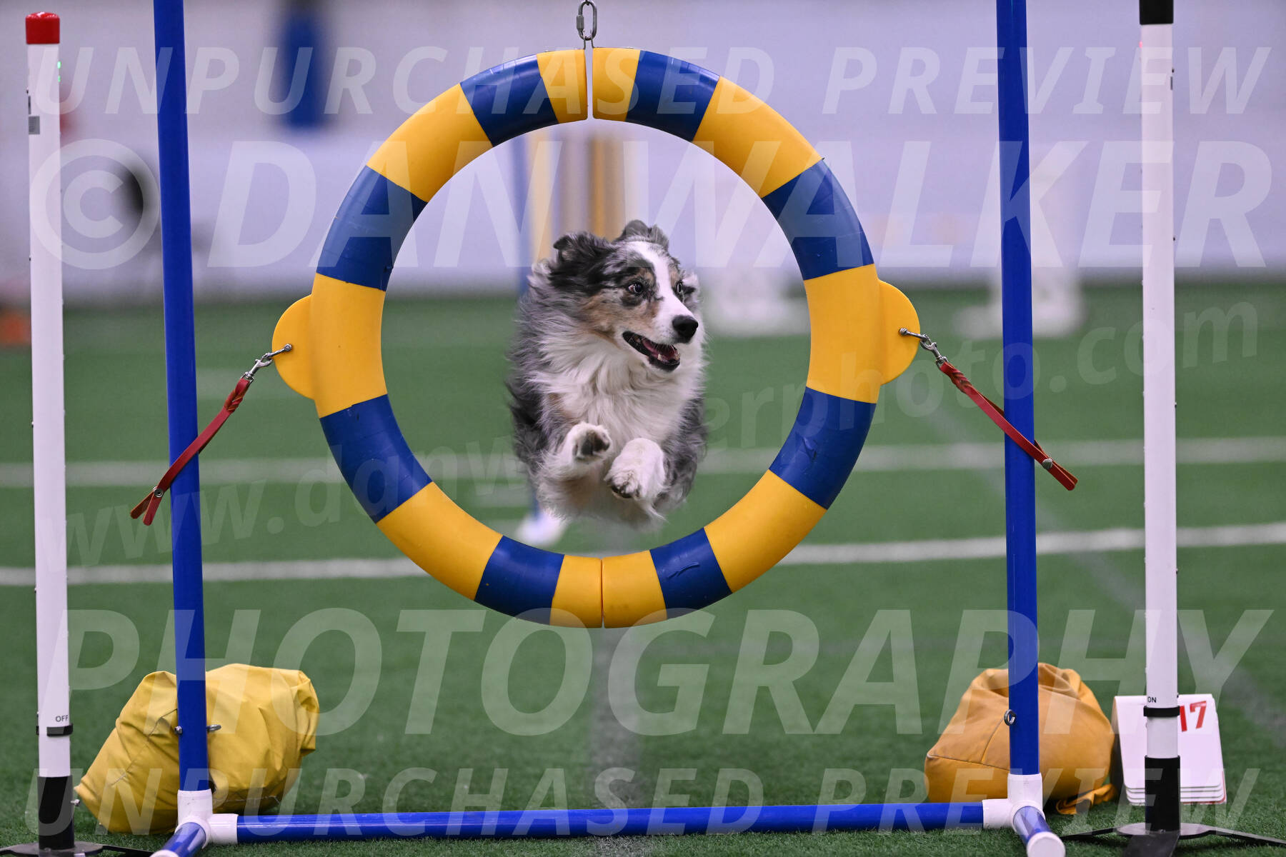 Kaiden-Christine-Armbrust-10558