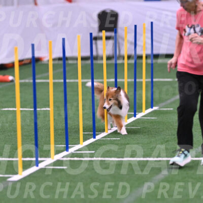 Kassie-Roberta-Miller-27490