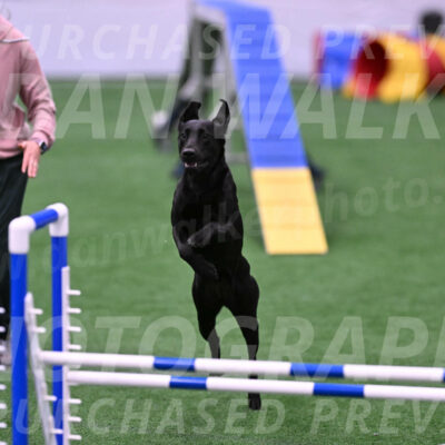 Keeley-Tory-Waxman-10800