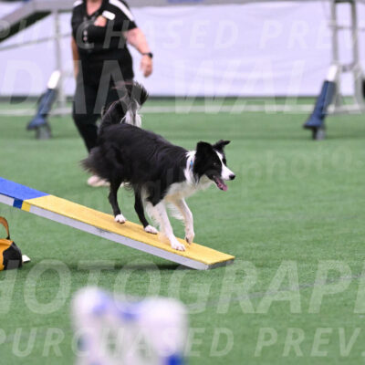 Keeper-Laurie-Wischt-11782