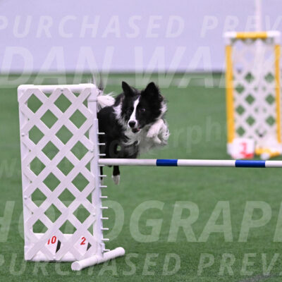 Keeper-Laurie-Wischt-11786