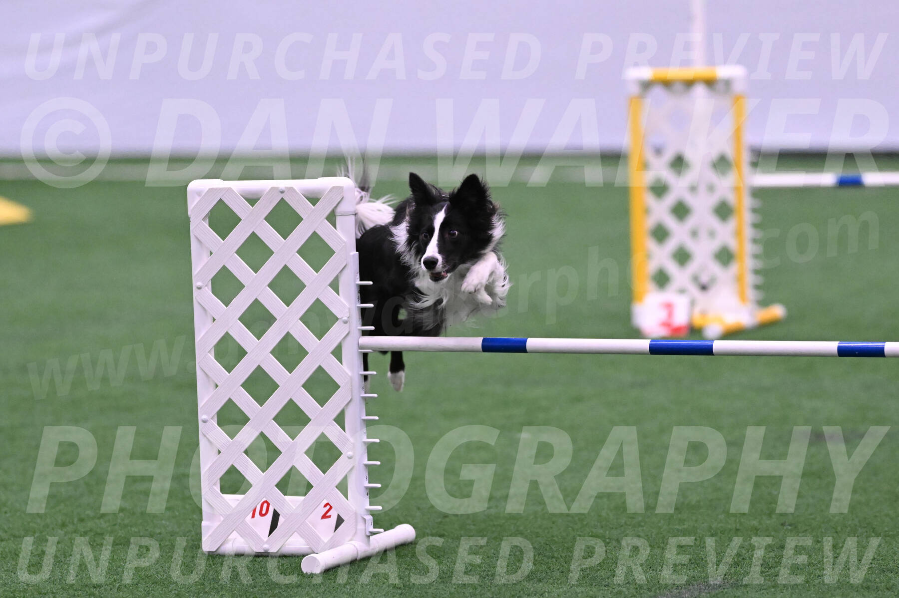 Keeper-Laurie-Wischt-11786