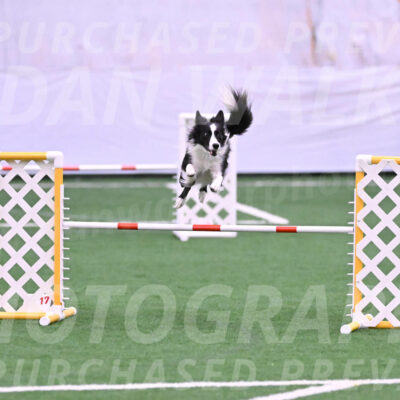 Keeper-Laurie-Wischt-11795