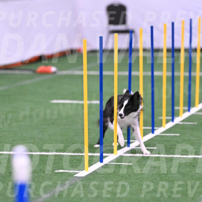 Keeper-Laurie-Wischt-11808