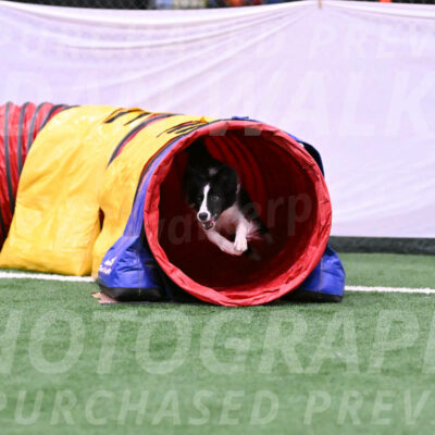 Keeper-Laurie-Wischt-11822